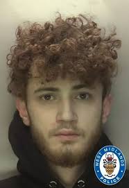 The horror dog attacks that saw pets become 'weapons' and cause chaos