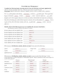 Download mitosis and meiosis webquest. Answers Unit 6 Review Worksheet Mitosis Meiosis Snowtanye Com
