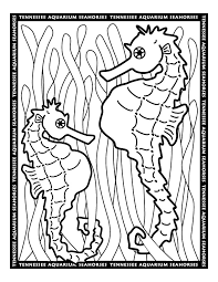 She knows he will take good care of them. Seahorse Coloring Page Animals Town Color Sheet Horse Coloring Pages Animal Coloring Pages Horse Coloring