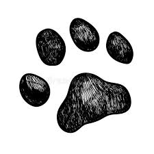 Vector Dog Paw Print Vector Illustration Sketch Of A Dog Paw Print Ad Paw Dog Vector Sketch Illustration Ad Dog Paw Print Paw Sketch Dog Paws