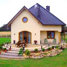 Brazii pusi in vanzare au pret bun, sunt frumosi, ramificati, bogati, de culoare verde intens, cu doua liniute argintii pe spatele acelor. Idei Pentru Gradina Post Facebook