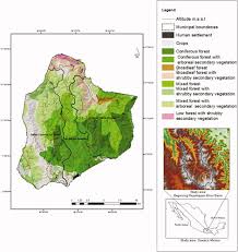 Full article: Remote sensing based forest canopy opening and their spatial  representation