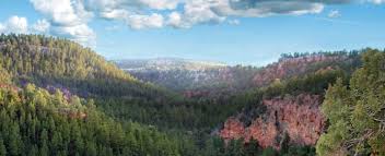 The landscape of red canyon is identical to bryce canyon, but simply not as large. Black Hills Wild Preservation Wildlife Conservation Society Wilderness Living Blog