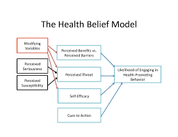 Health Belief Model Rosenstoch Becker Maiman Diagram Quizlet