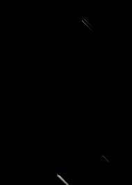 Genealogy of the Pepper family in America