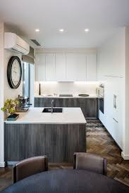 luxurious apartment kitchen renovation