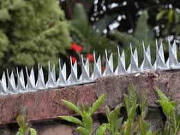 Metal Security Spikes On The Garden Perimeter Wall Diy Home Security Security Fence Home Security Tips