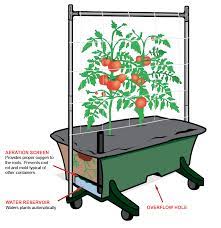 Why We Love Self Watering Containers Self Watering Containers Self Watering Self Watering Planter