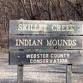 Skillet Creek Indian Mounds Night Hike event image