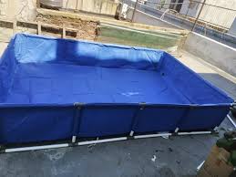 Desain Rumah Walet 1 Lantai