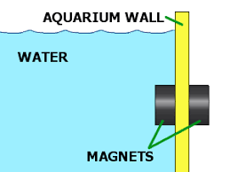 Aquarium Magnets