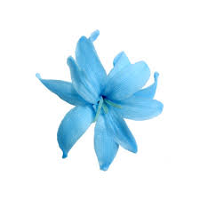 Maybe you would like to learn more about one of these? The Most Beautiful Flowers In The World Verdissimo