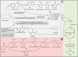 The Major Product Of The Following Reaction Is | Filo