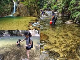 We did not find results for: Ikan Tengas Peneman Pengunjung Berenang Di Sungai Chiling Libur