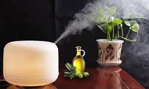 We did not find results for: Can I Use Essential Oils In Humidifier Read This Before Using