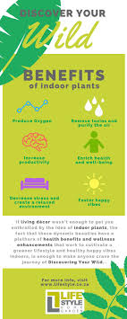 Discover The Benefits Of Indoor Plants With Lifestyle Home Garden Benefits Of Indoor Plants Indoor Plants Plants