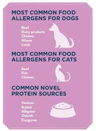 Rabbit allergies in cats can be inhalant, contact or food allergies. Healing Your Food Allergic Pet With Nutrition Animal Wellness Magazine