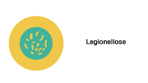 Legionellose Heilpraktiker Psychotherapie