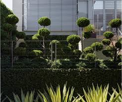 Striking Garden By Richard Unsworth Of Garden Life Landscape Design Garden Life