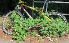 Offene Soziale Fahrradwerkstatt In Stuttgart Sud Gebruder Schmid Zentrum