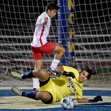 High school roundup for Oct. 3, 2023: Peters Township blanks Norwin in  matchup of section contenders