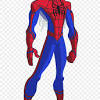 How to draw spiderman standing. Https Encrypted Tbn0 Gstatic Com Images Q Tbn And9gcr4mqiitgvd0r0ar3mnh1j G3f65eghssdgd1fim Xdtsqasth Usqp Cau