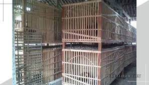 26+ cara membuat kandang umbaran ayam bangkok png.pasalnya, pada akhirnya, ayam bangkok akan dipisah sesuai tingkatan umur untuk memudahkan dalam. Membuat Sendiri Kandang Umbaran Ayam Aduan Murah Kok