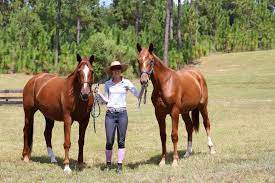 Discover all the collections of omega® watches for men and women, and enjoy these true masterpieces of find your own omega® watch on the official website now! Putting The Spotlight On Purina Omega Match The Plaid Horse Magazine