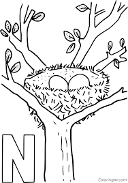 Portrait new coloring page bird creditoparataxi best for you from baby birds. Nest On The Tree Coloring Page Coloringall