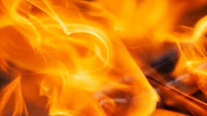 Morrisville NC fire: Massive blaze erupts at Camden Westwood Apartments near Cary; videos surface | Hindustan Times