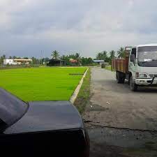 Pertubuhan peladang kawasan (ppk) simpang lima batu pahat pusat perkhidmatan pertanian bersepadu,simpang lima,, peserai, 83020 batu pahat, johor., , johor nombor telefon, faks dan emel : Photos At Lembaga Pertubuhan Peladang Negeri Kedah Capitol Building