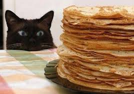 Photos Droles Animaux Photo Drole Animaux Chatons Droles Animaux