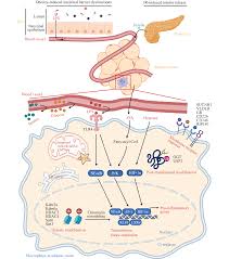 Image result for Beige 1983 Caloric