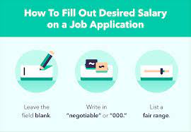 What To Put For Desired Salary On A Job Application + Interview Tips