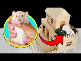 Comment Fabriquer Une Maison En Lego Pour Votre Chat Youtube