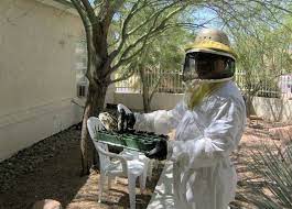 Serving the entire las vegas metro area. Beewise Pest Control Las Vegas Nv 89117 Dexknows Com