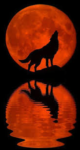 Pin By Zafer Firat On Wsℓnyeѕ Wolf Painting Wolf Wallpaper Wolf Artwork