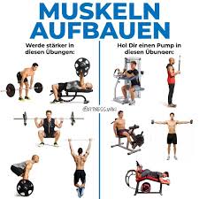 Muskeln Aufbauen Muskeln Baust Du Auf Wenn Du Starker Wirst Entsprechen Dei Wikide Muskeln Aufbauen Muskeln Muskeln Mann