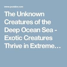 Jonathon Stillman (jonathonstillma)