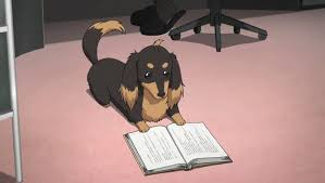 Inu To Hasami Wa Tsukaiyou An Anime That Is About A Boy That Becomes A Dachshund And Moves In With His Favourite Au Dachshund Dog Dog Scissors Awesome Anime
