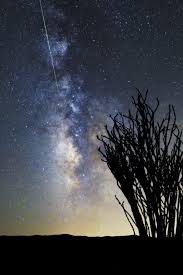 Best Time To See Perseid Meteor Shower In California 2020 Rove Me Perseid Meteor Shower Meteor Shower Meteor