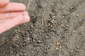 Maybe you would like to learn more about one of these? How To Loosen Hard Soils Organic Gardening Soil Garden Soil Organic Gardening