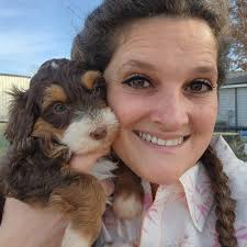 Mini multigen bernedoodles Graham TX