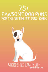 Summer birthday greeting card funny pun puns smore card. 75 Pawsome Dog Puns For The Ultimutt Dog Lover