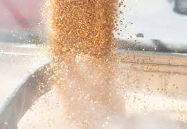 Provider of sustainable supply chain services intended to offer assurance and transparency between global agricultural producers and consumers. Pipeline Foods Expands Footprint In North America World Grain Com October 04 2017 14 25