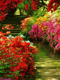 Beautiful Garden Lindas Paisagens Jardim Lindo Lindas Imagens