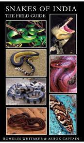 Snakes can produce offspring in three ways: Snakes Of India The Field Guide Romulus Whitaker Ashok Captain Amazon De Bucher