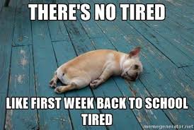 26 Pictures That Are Way Too Real For Teachers Going Back To School Teacher Memes Funny Teacher Humor Teacher Tired