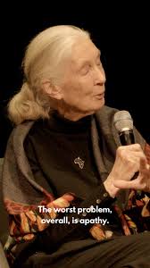 Join Jane for a virtual reading of 'Eagle & the Wren'! Dr. Goodall retells  a beloved story from her own childhood -- a fable for all times that  illustrates how we depend