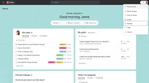 Asana governance settings